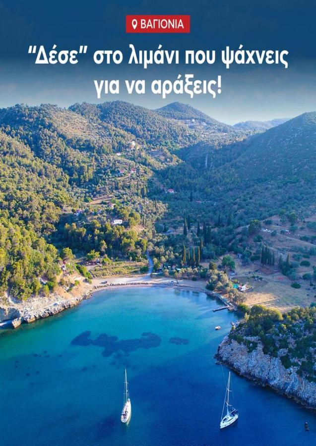 Private Beach House Irene Mare Poros Town Exterior foto